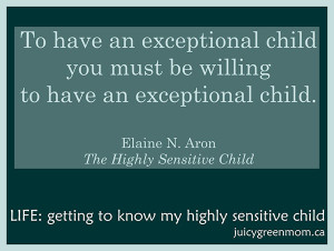 quote from The Highly Sensitive Child book by Elaine Aron