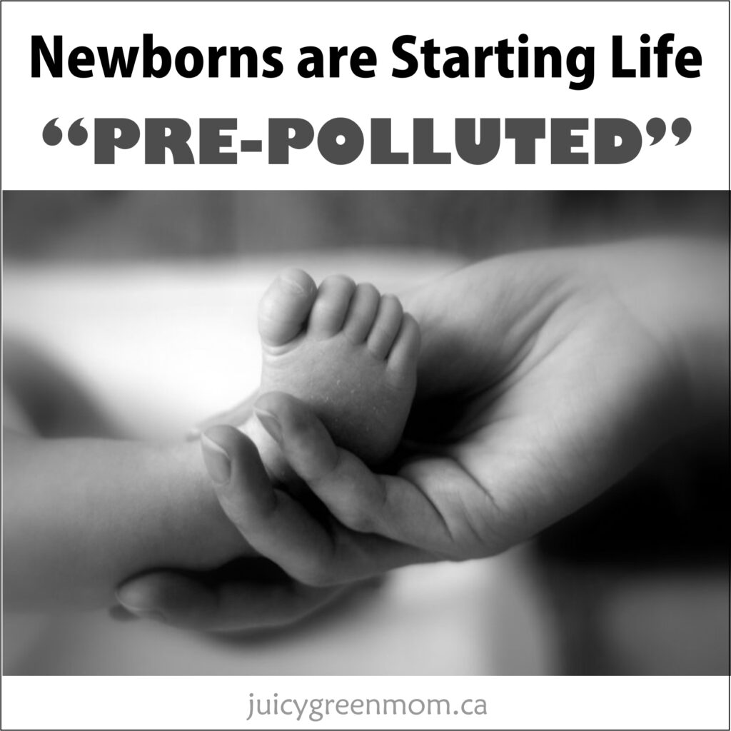 newborns are starting life pre polluted juicygreenmom