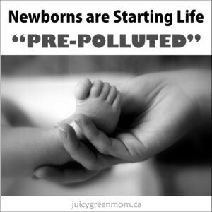 newborns are starting life pre polluted juicygreenmom