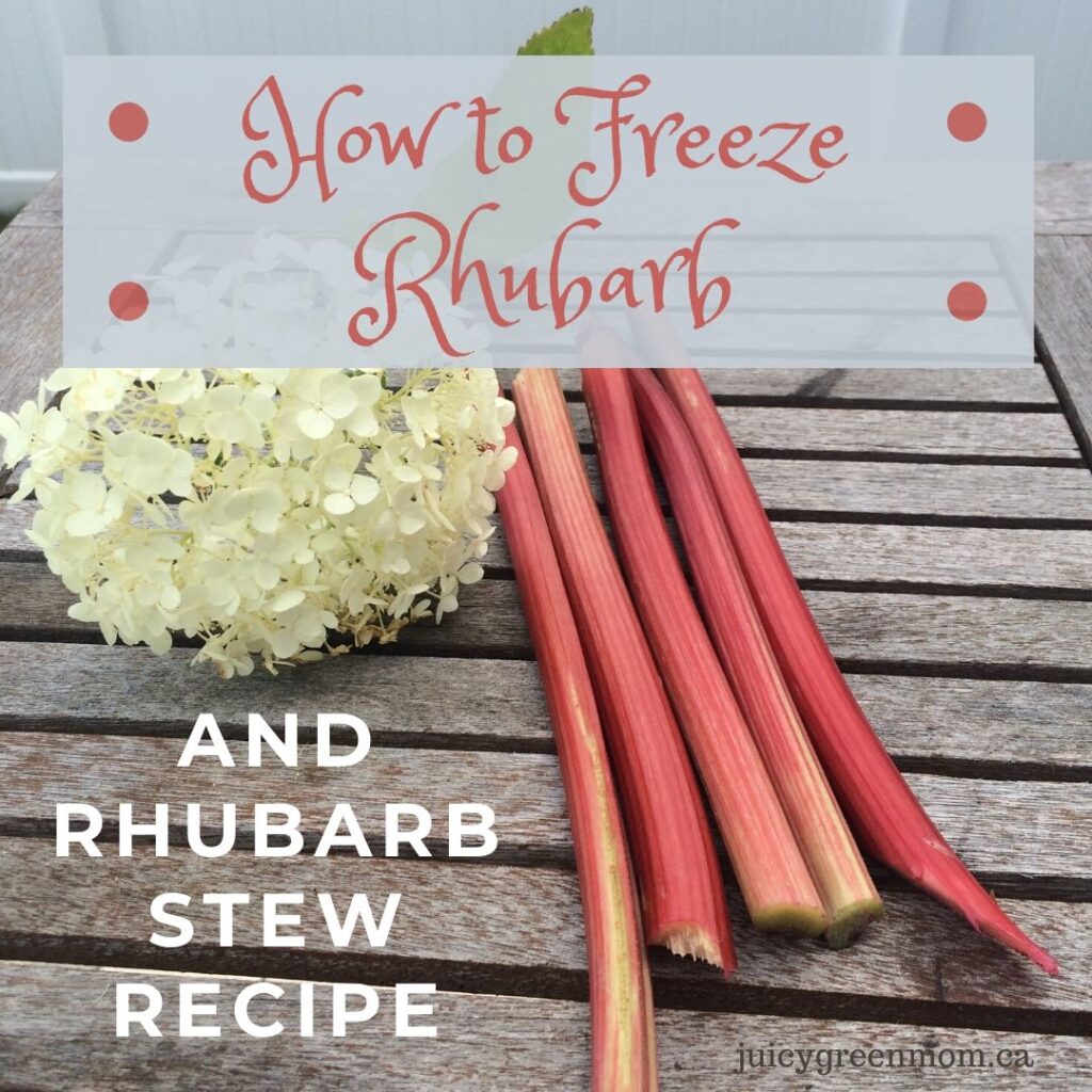 How to Freeze Rhubarb and Rhubarb Stew Recipe juicygreenmom