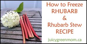 how-to-freeze-rhubarb-juicygreenmom-landscape