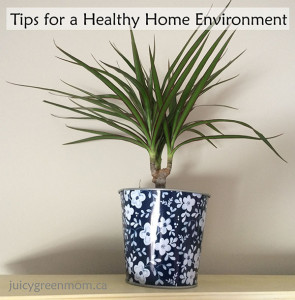 Tips for a Healthy Home Environment