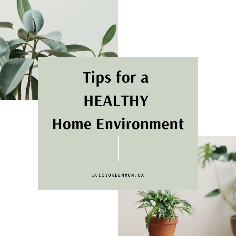 tips for a healthy home environment juicygreenmom