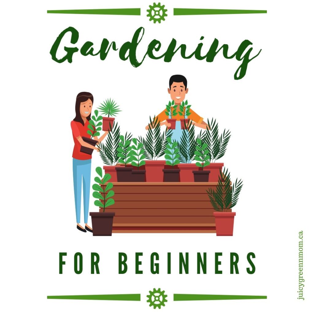 Gardening for beginners juicygreenmom