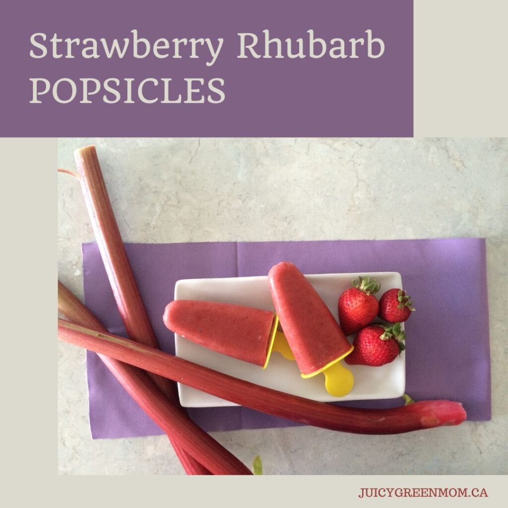 Strawberry Rhubarb POPSICLES JUICYGREENMOM