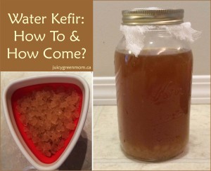 Water Kefir: How To & How Come?