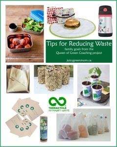 Tips for Reducing Waste from Queen of Green coaching project