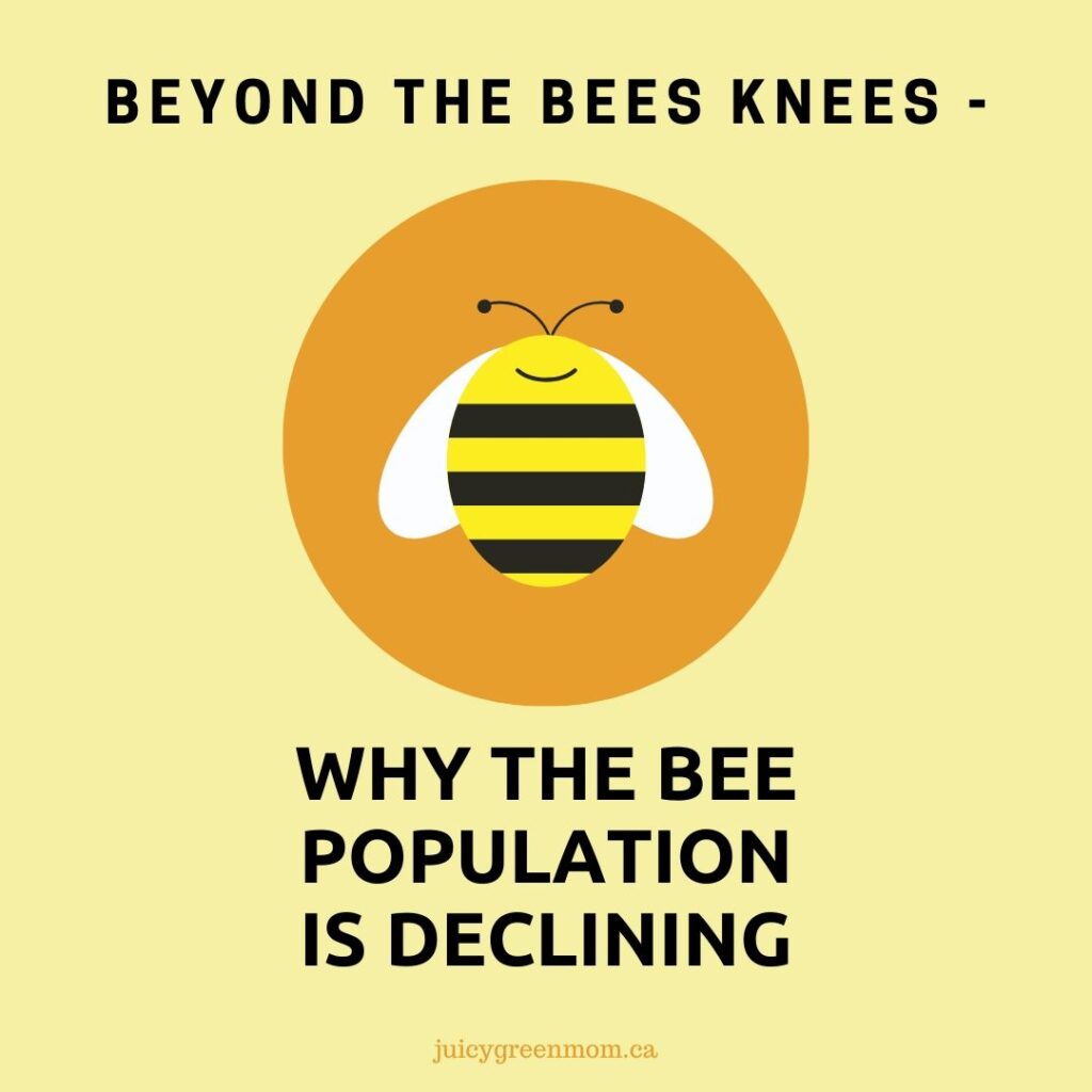 beyond the bees knees why the bee population is declining juicygreenmom IG