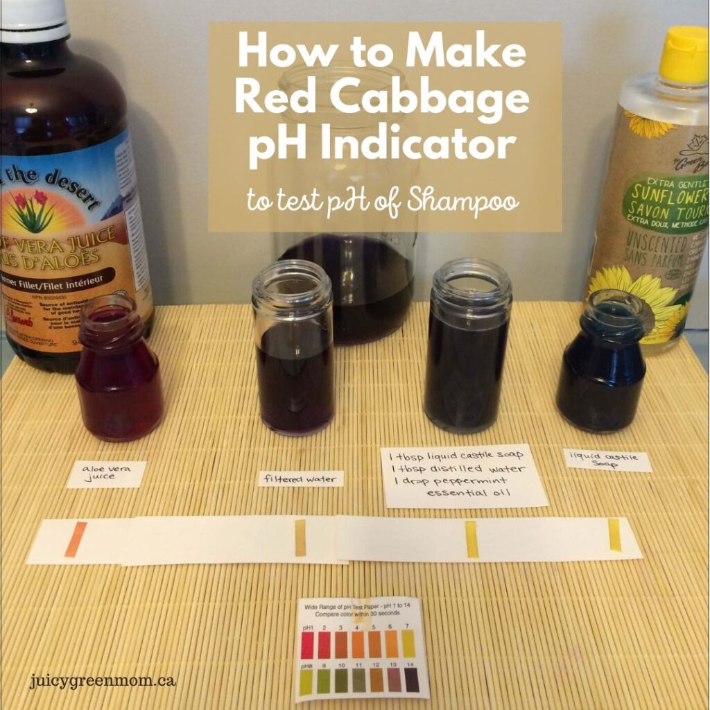 how to make red cabbage pH indicator to test pH of shampoo juicygreenmom