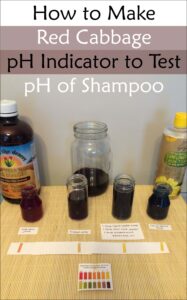 How to Make Red Cabbage pH Indicator