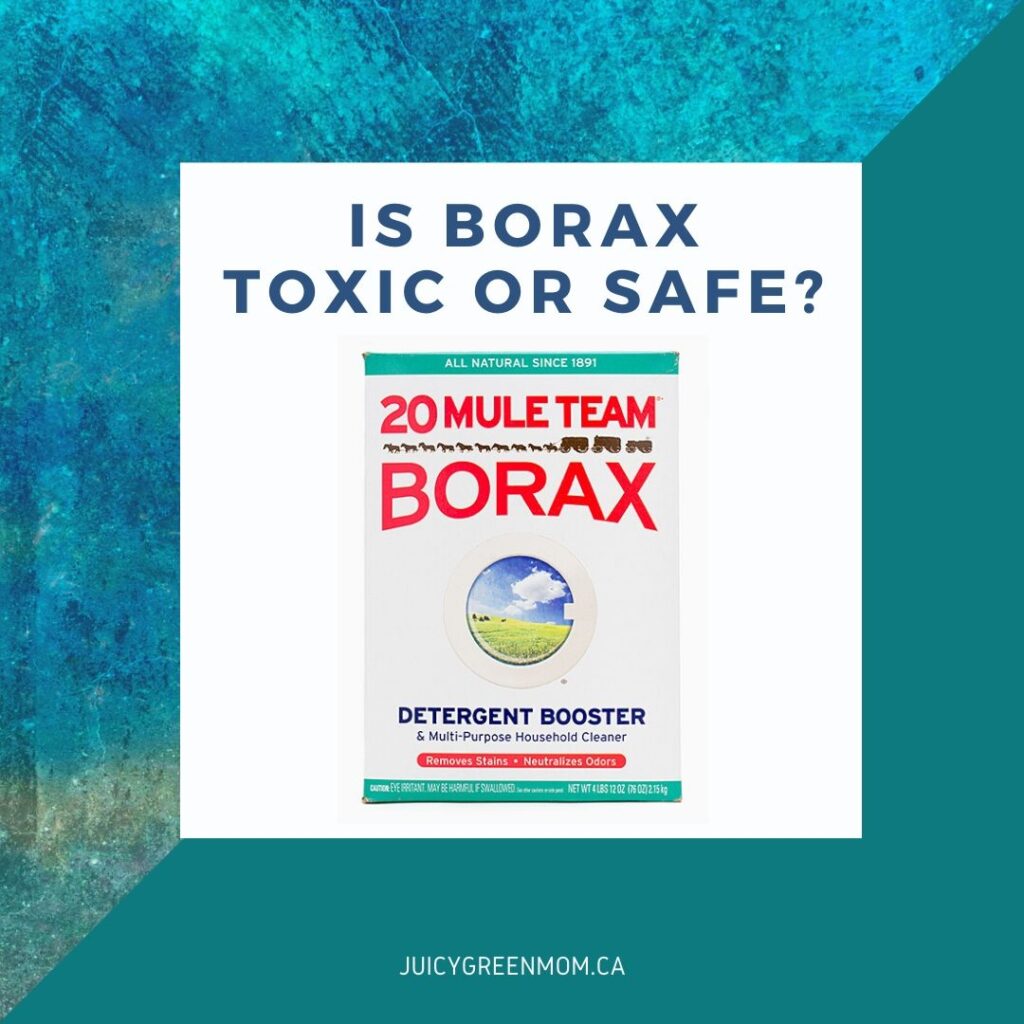 is borax toxic or safe_ juicygreenmom