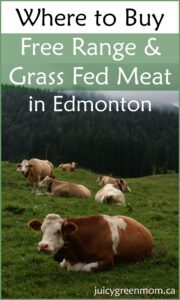 meat-in-Edmonton-juicygreenmom