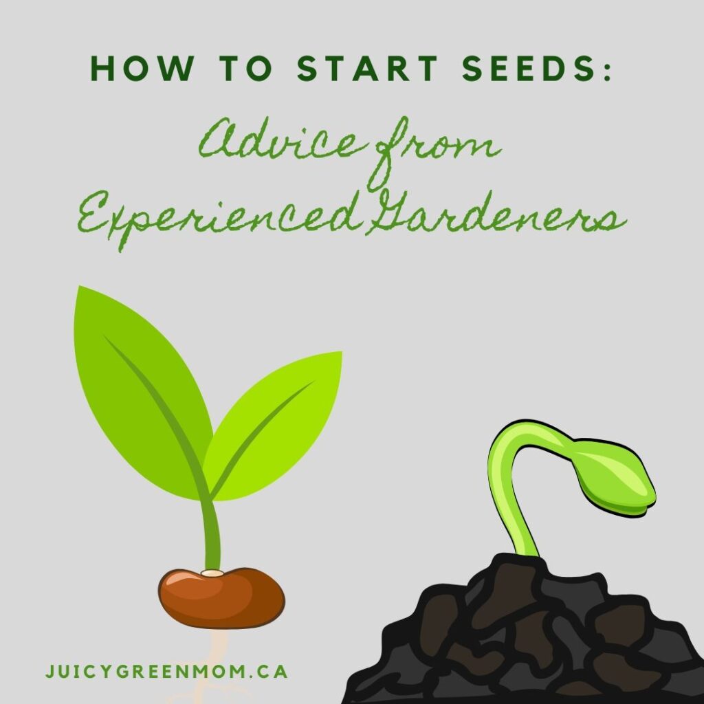 how to start seeds_ advice from experienced gardeners juicygreenmom IG