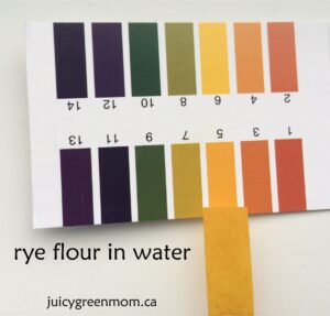 rye-flour-water-pH-juicygreenmom