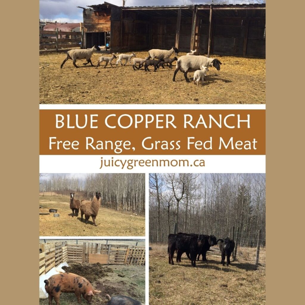 blue copper ranch free range grass fed meat juicygreenmom