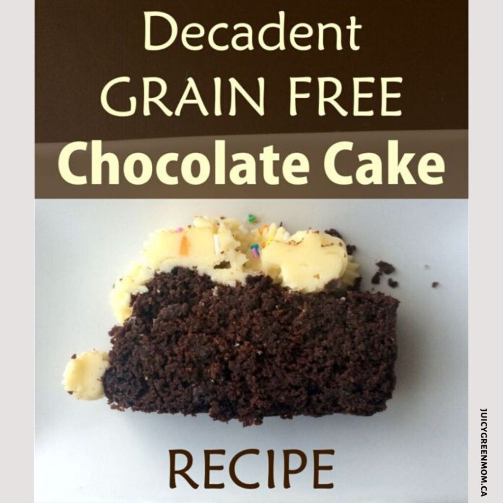 decadent grain free chocolate cake juicygreenmom