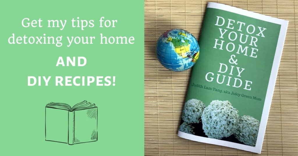 detox your home and diy guide by juicygreenmom featured