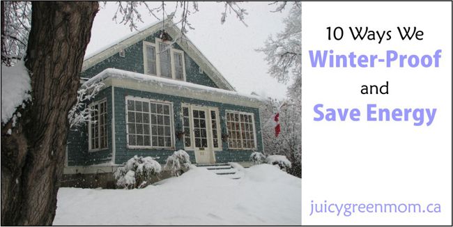 direct-energy-ways-we-winter-proof-and-save-energy-juicygreenmom-landscape