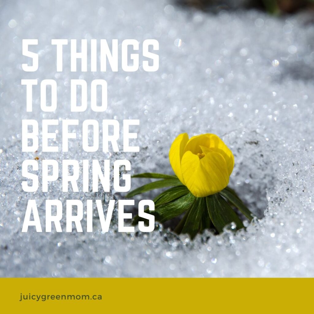 5 things to do before spring arrives juicygreenmom IG