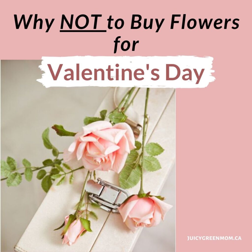 Why NOT to buy flowers for valentine's day juicygreenmom IG