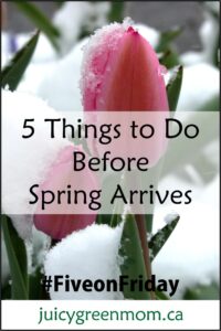 five on friday things to do before spring arrives juicygreenmom