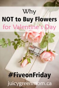five-on-friday-why not to buy flowers for valentines day juicygreenmom
