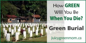 how green will you be when you die green burial juicygreenmom landscape