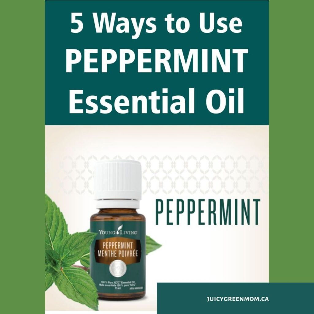 5 ways to use peppermint essential oil juicygreenmom