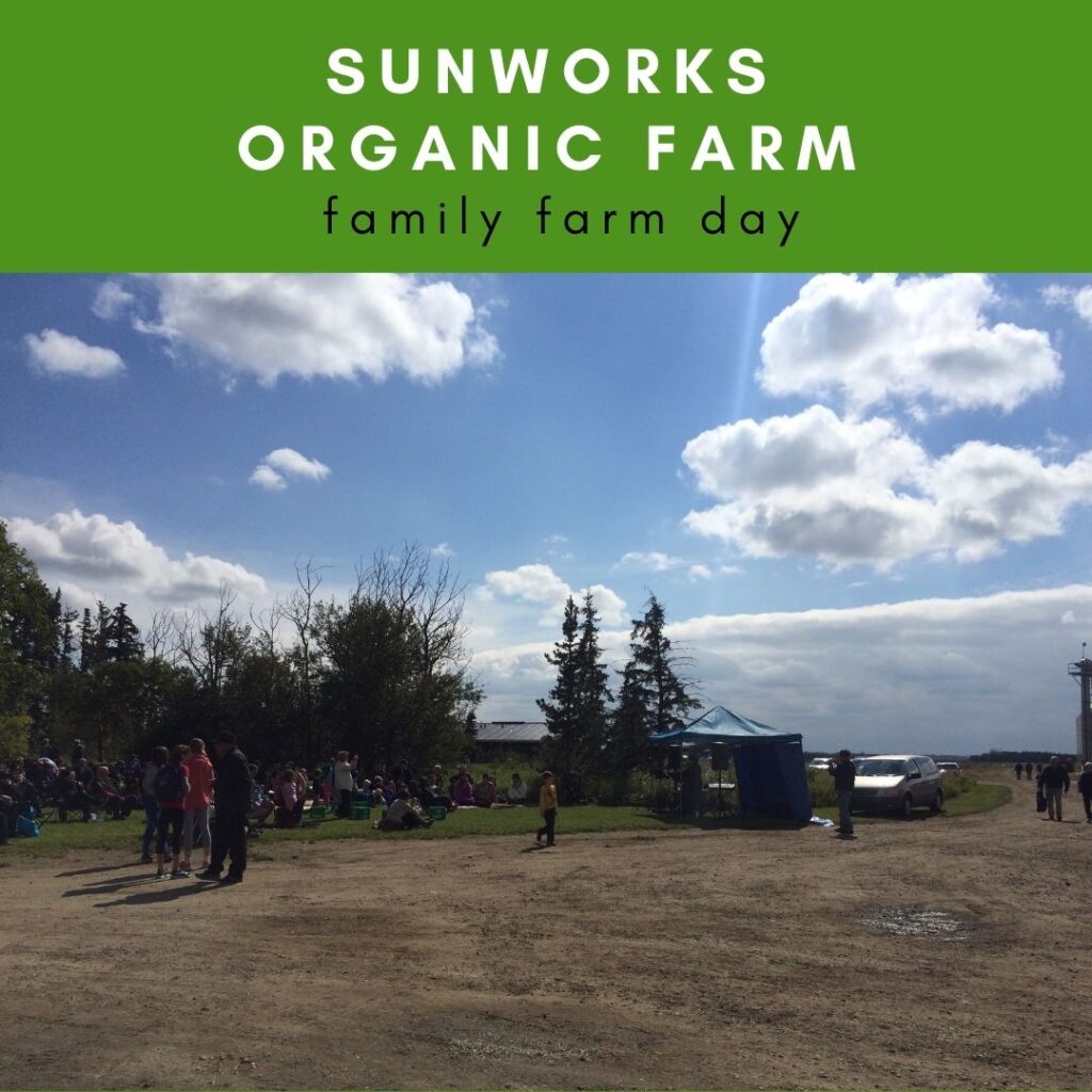 sunworks organic farm family farm day juicygreenmom
