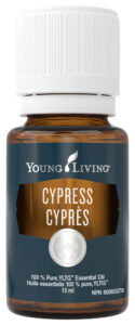 young living cypress essential oil natural health product