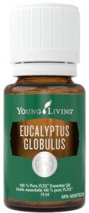 young living eucalyptus globulus essential oil natural health product