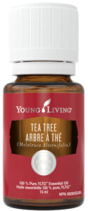young living tea tree essential oil natural health product