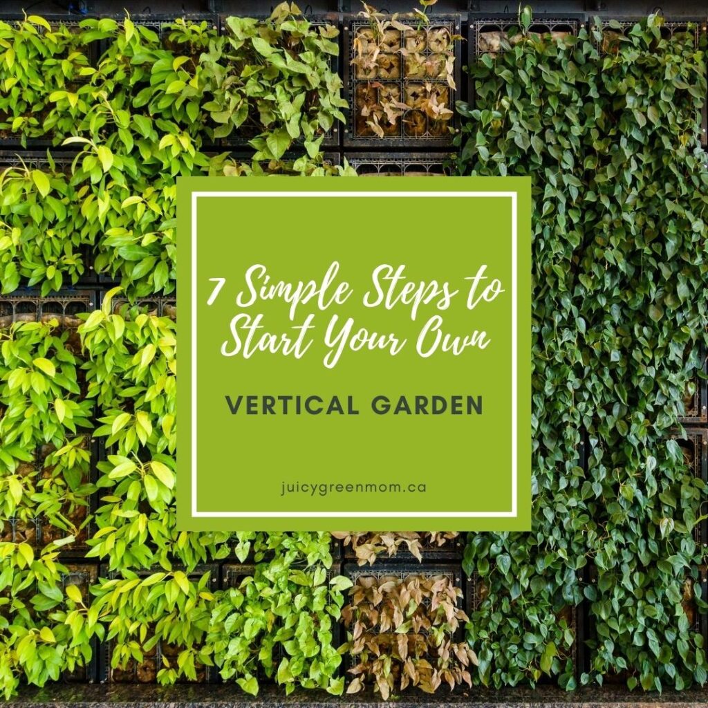 7 Simple Steps to Start Your Own vertical garden juicygreenmom