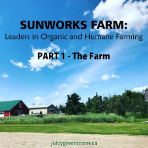 sunworks farm leaders in organic and humane farming part 1 the farm juicygreenmom