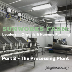 sunworks farm leaders in organic and humane farming part 2 the processing plant juicygreenmom