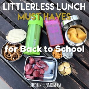 litterless lunch must haves for back to school juicygreenmom