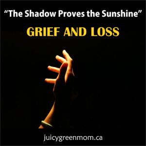 the shadow proves the sunshine grief and loss juicygreenmom