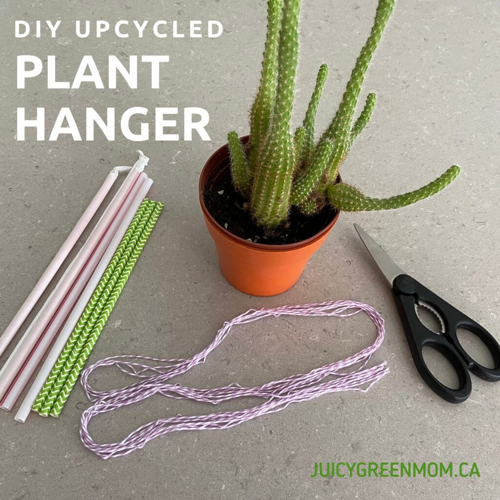 DIY upcycled plant hanger materials juicygreenmom