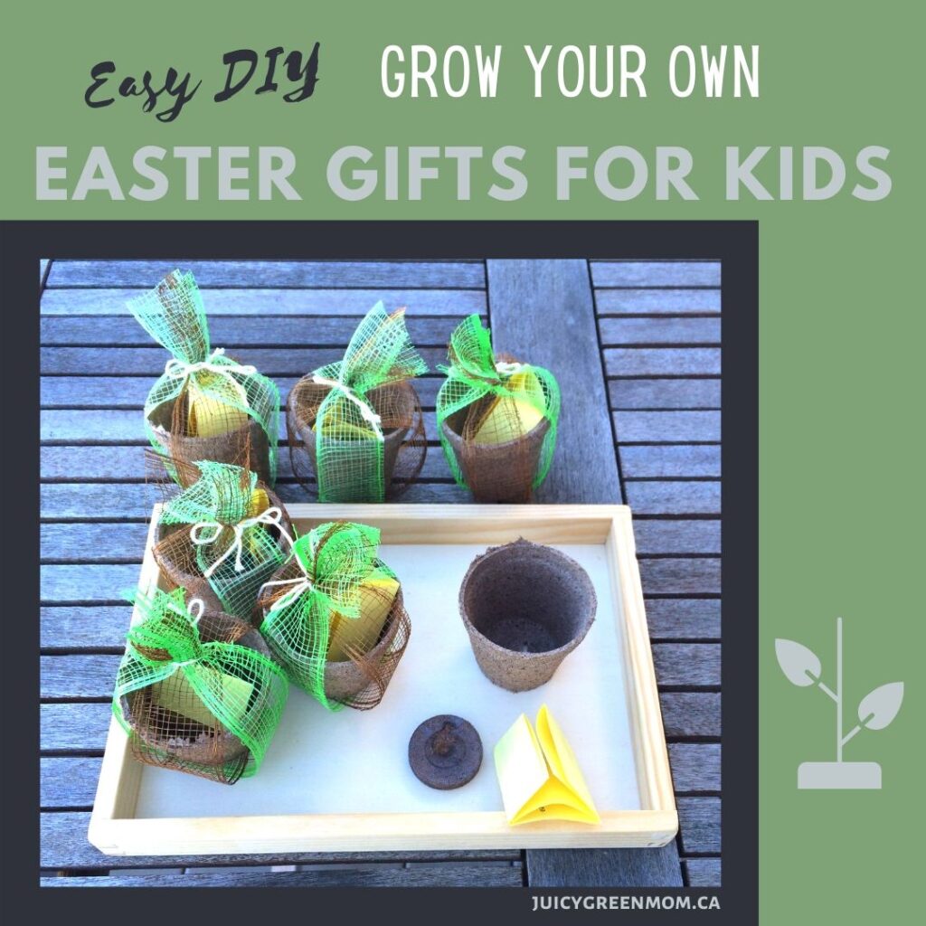 Easy-DIY-grow-your-own-easter-gifts-for-kids-juicygreenmom