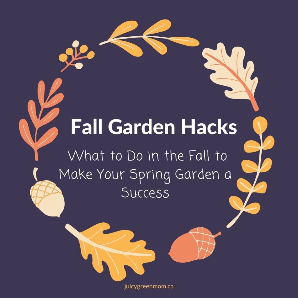 Fall Garden Hacks_ What to Do in the Fall to Make Your Spring Garden a Success juicygreenmom