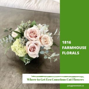 1816 farmhouse florals Eco Conscious Cut Flowers #YEG juicygreenmom