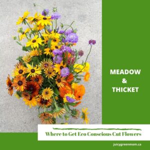 Meadow and Thicket Eco Conscious Cut Flowers #YEG juicygreenmom