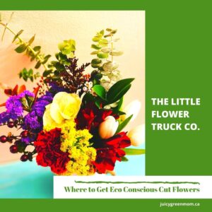 THE LITTLE FLOWER TRUCK CO Eco Conscious Cut Flowers #YEG juicygreenmom