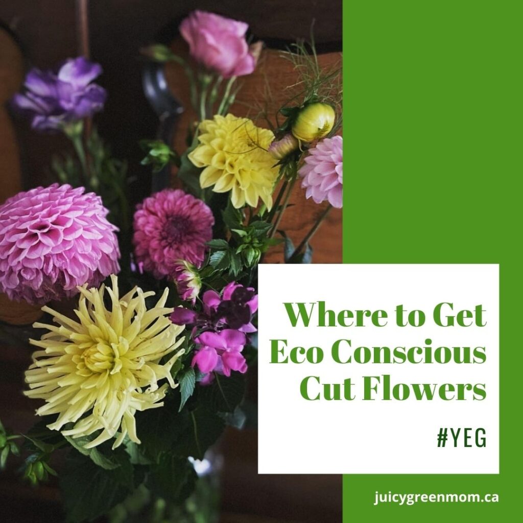 Where to Get Eco Conscious Cut Flowers #YEG juicygreenmom