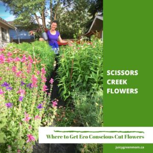 scissors creek flowers Eco Conscious Cut 