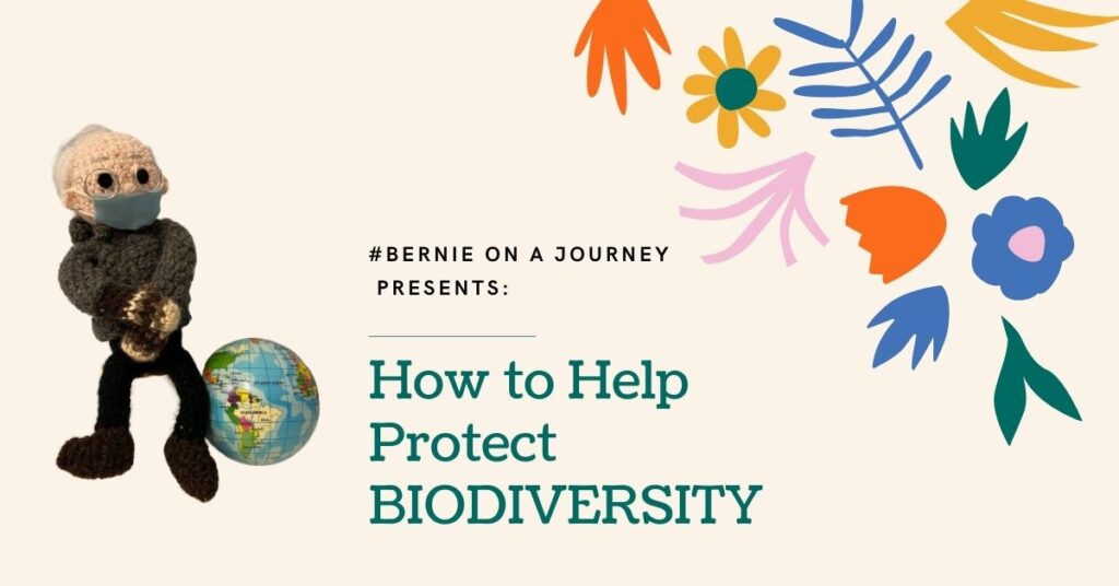 How to Help Protect Biodiversity Bernie on a Journey juicygreenmom