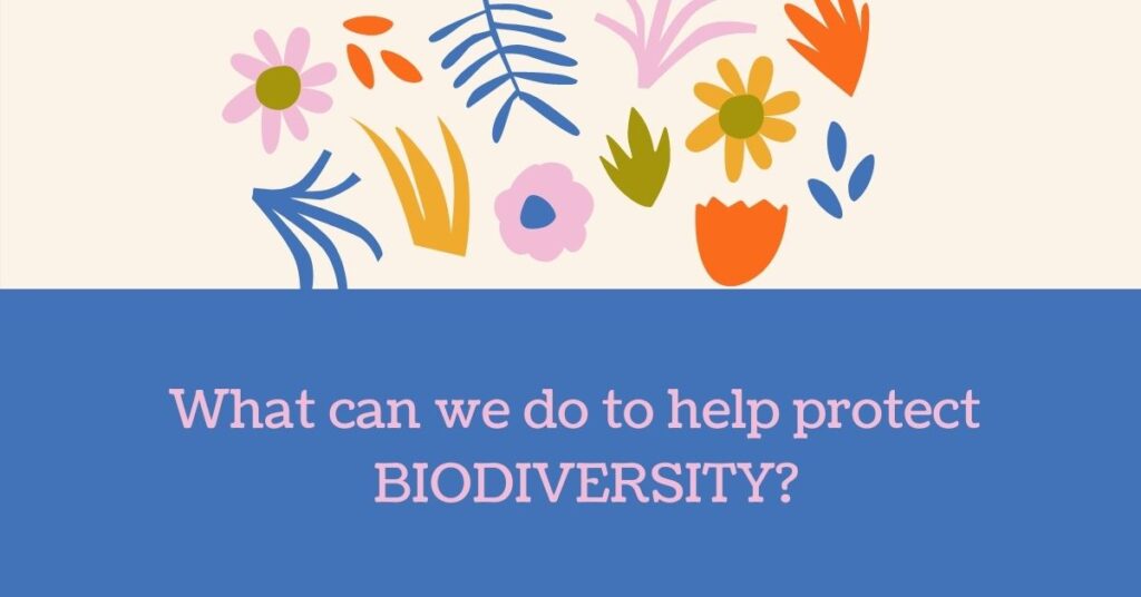 how to help biodiversity juicygreenmom