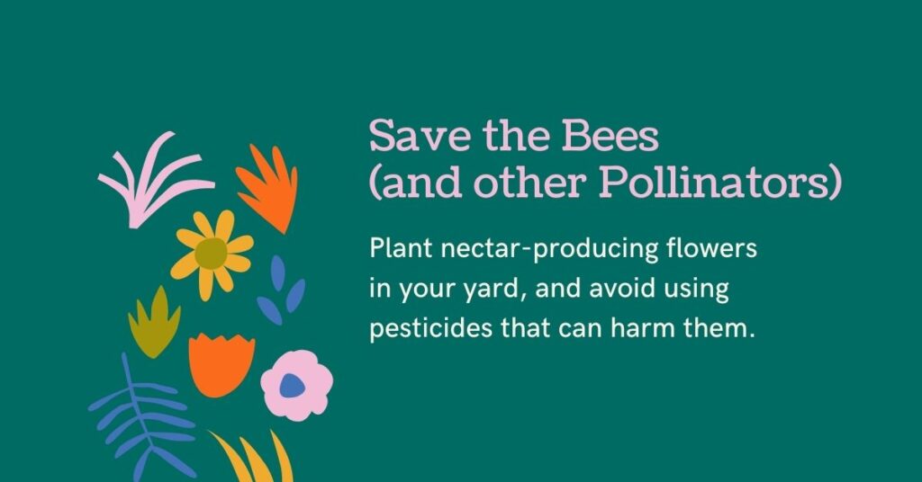 save the bees and pollinators biodiversity juicygreenmom