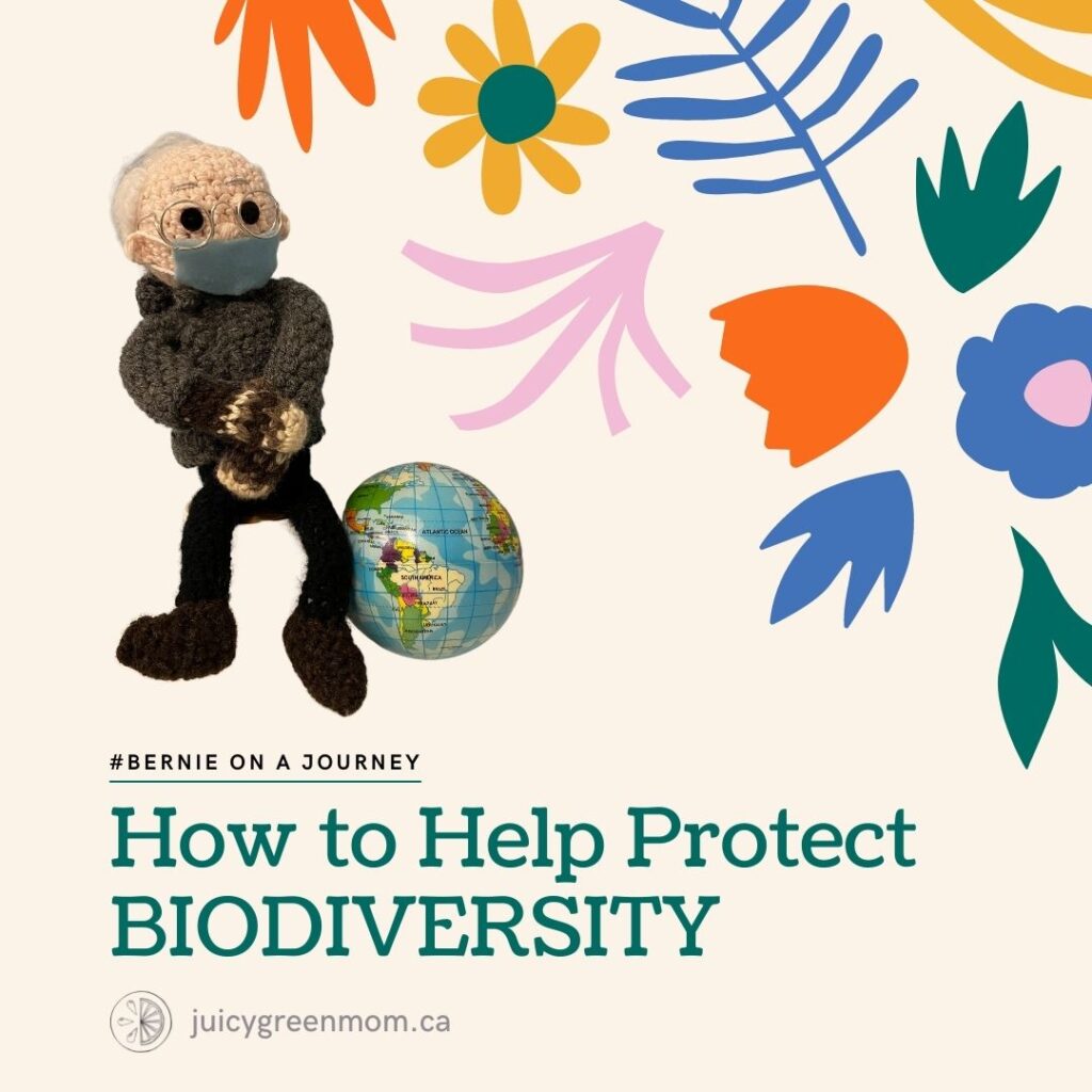 BernieonaJourney how to help protect biodiversity juicygreenmom