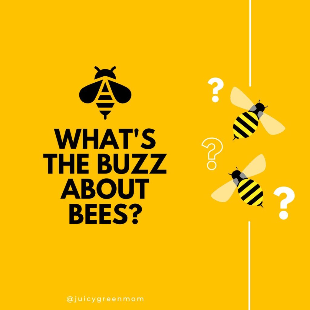 what's the buzz about bees juicygreenmom